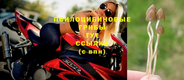 меф Алексин