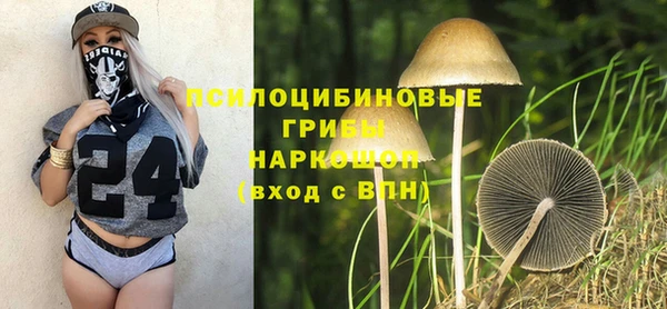 таблы Алексеевка