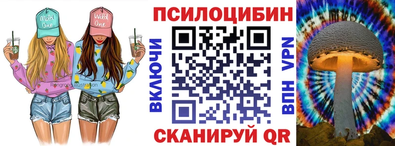 Псилоцибиновые грибы Cubensis  купить закладку  Зуевка 